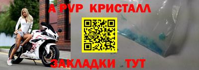 прущие крисы Гатчина