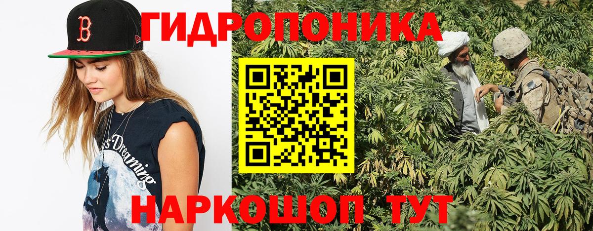 Канабис ГИДРОПОН  МАРИХУАНА планчик  Шишки марихуана ГИДРОПОН  Вход с VPN  Карталы 